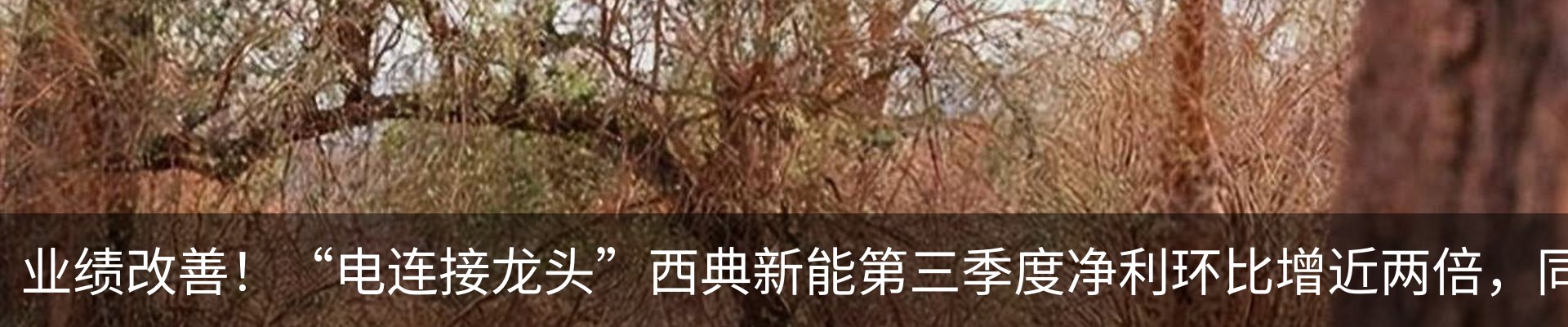 热点资讯