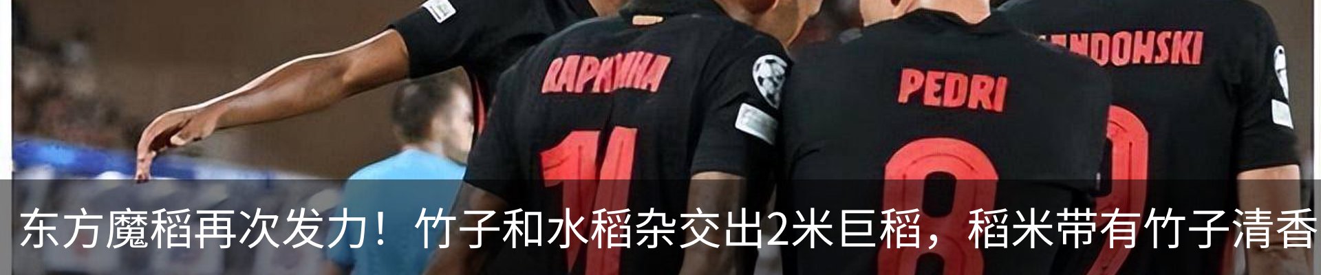 热点资讯