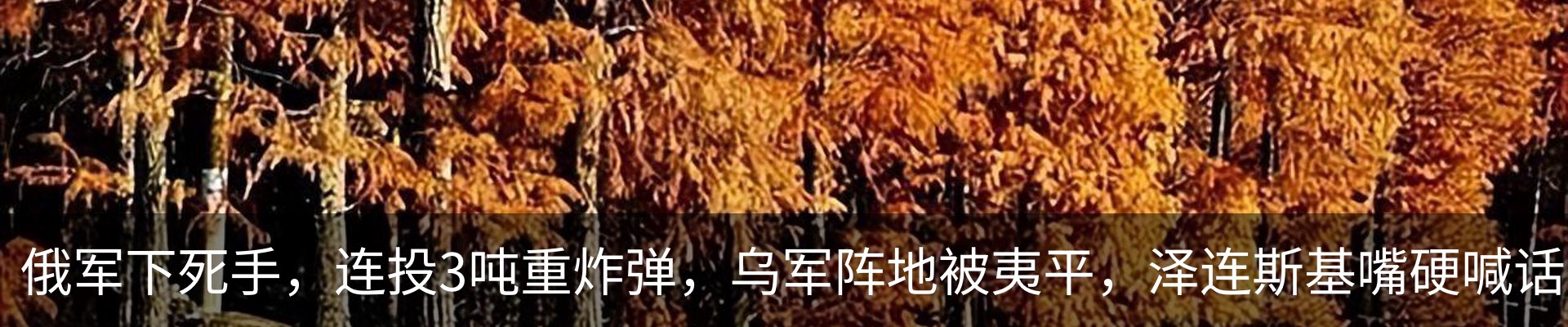 热点资讯