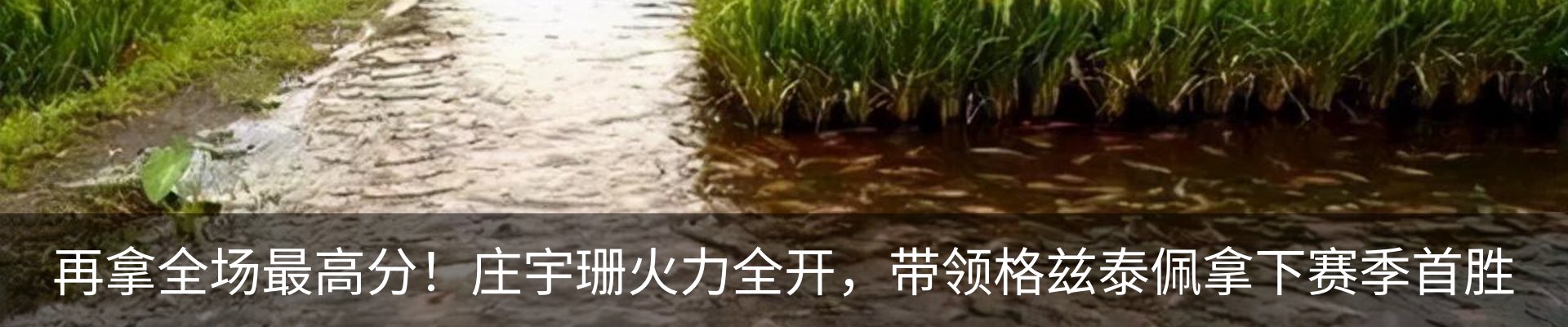 热点资讯