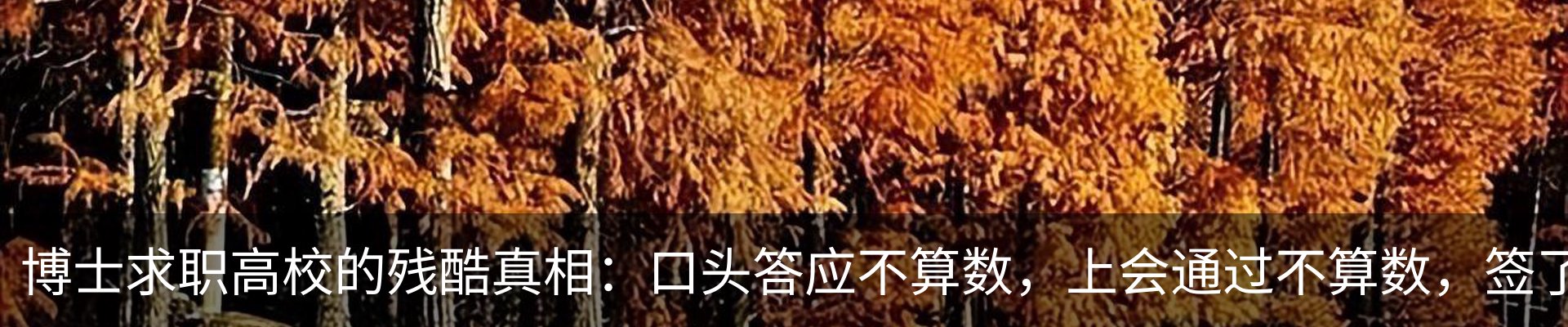 热点资讯