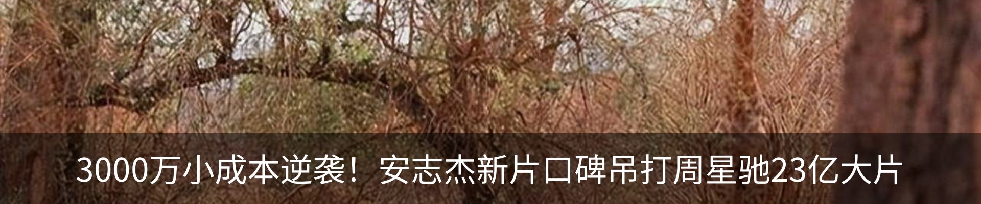 热点资讯
