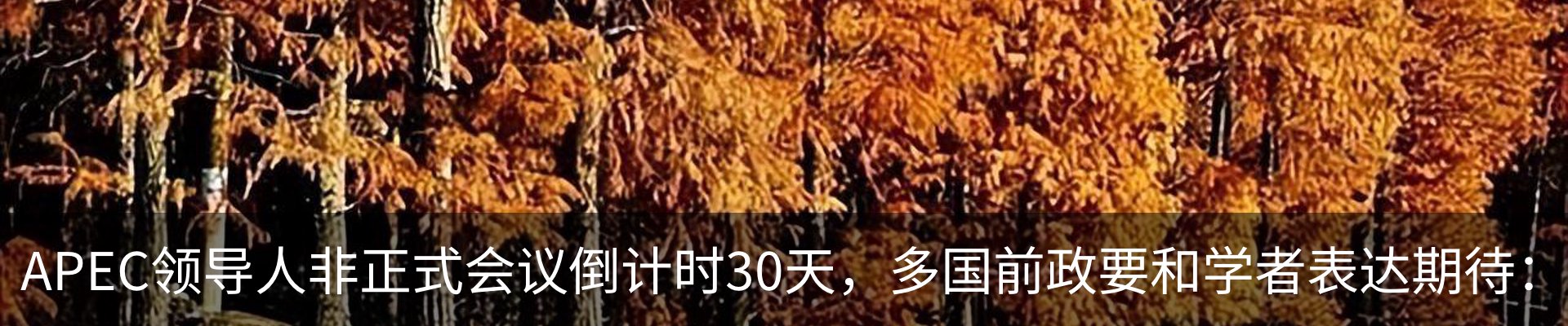热点资讯