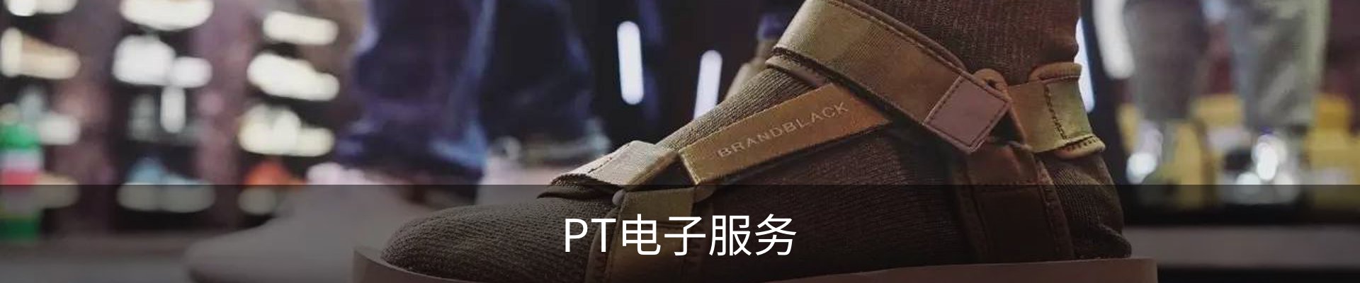 PT电子服务