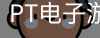 PT电子